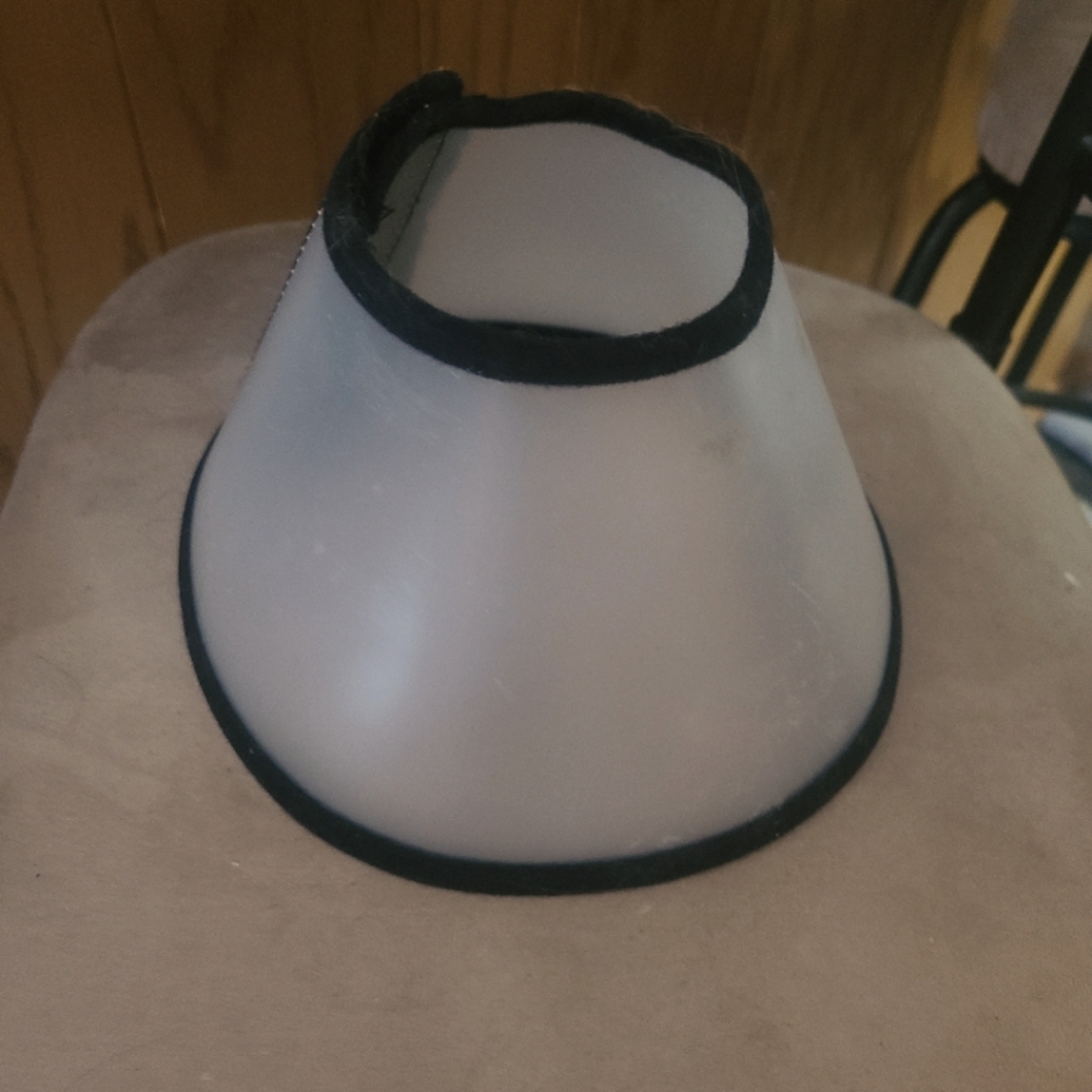 Small Pet Cone